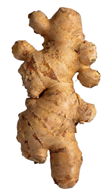 Fresh ginger